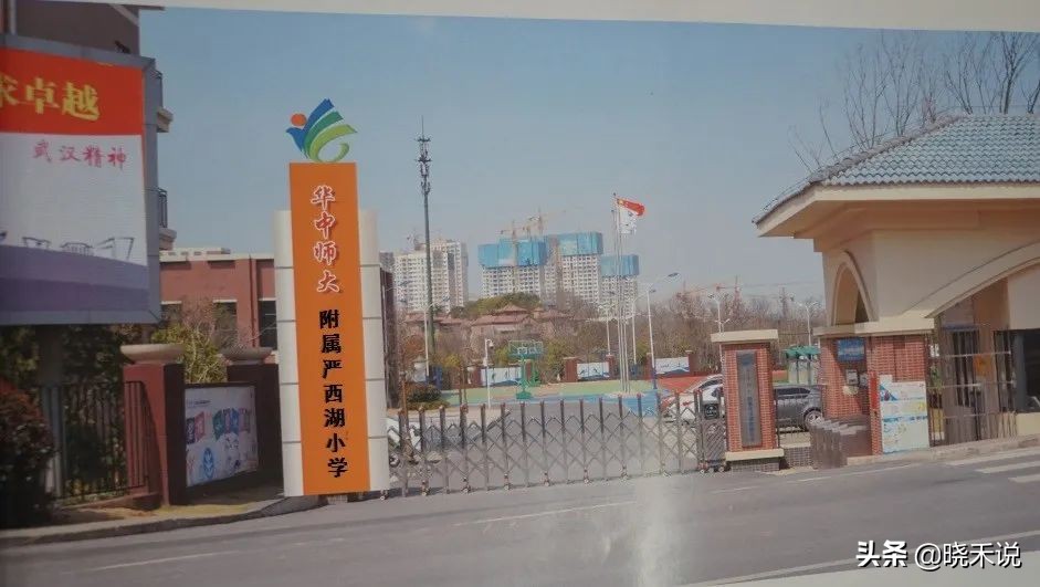 12所师范大学全国前100名,十二师小学排名