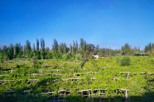 坐火车去江西应该到哪个站,体验鹰潭到喀什