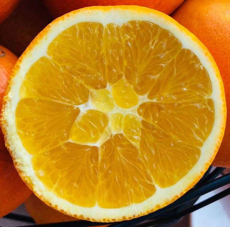 浼楁璧ｅ崡鑴愭,浼楁