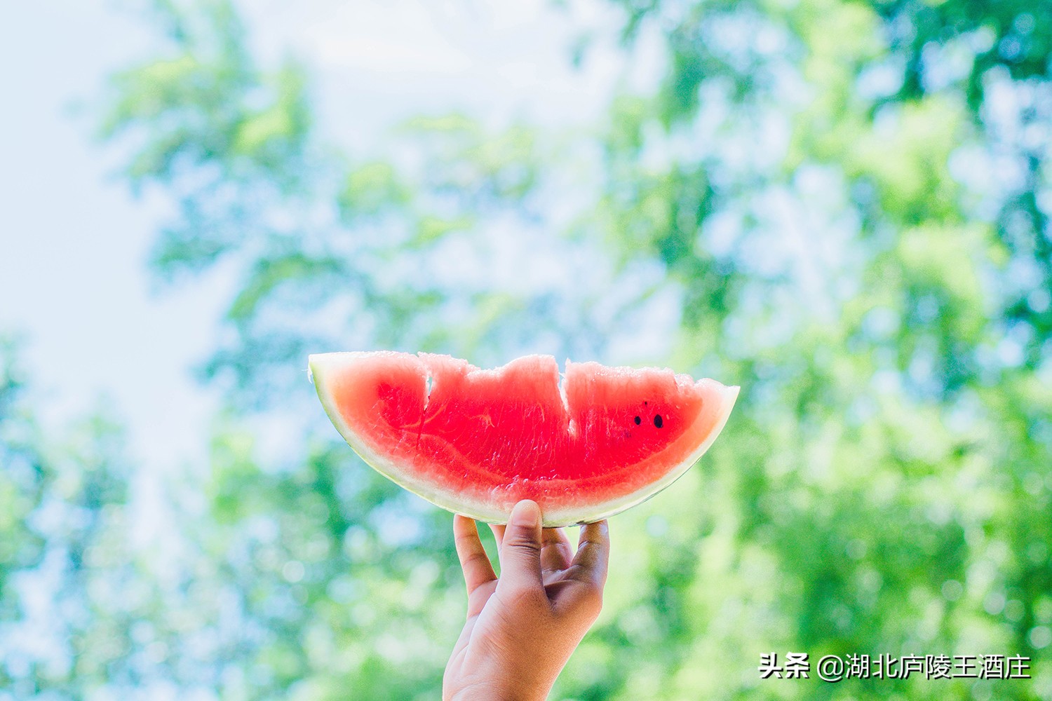 夏天喝黄酒暖心又暖胃,夏天喝黄酒最好的季节