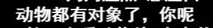 9.9恋爱游戏,9.9分恋爱番