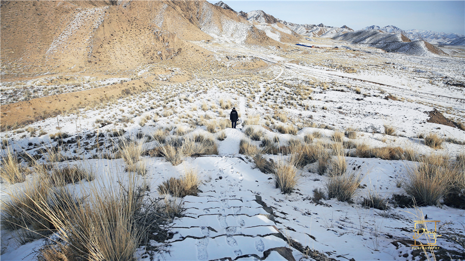 都兰古墓九层妖塔墓主身份,都兰和九层妖塔有什么关系