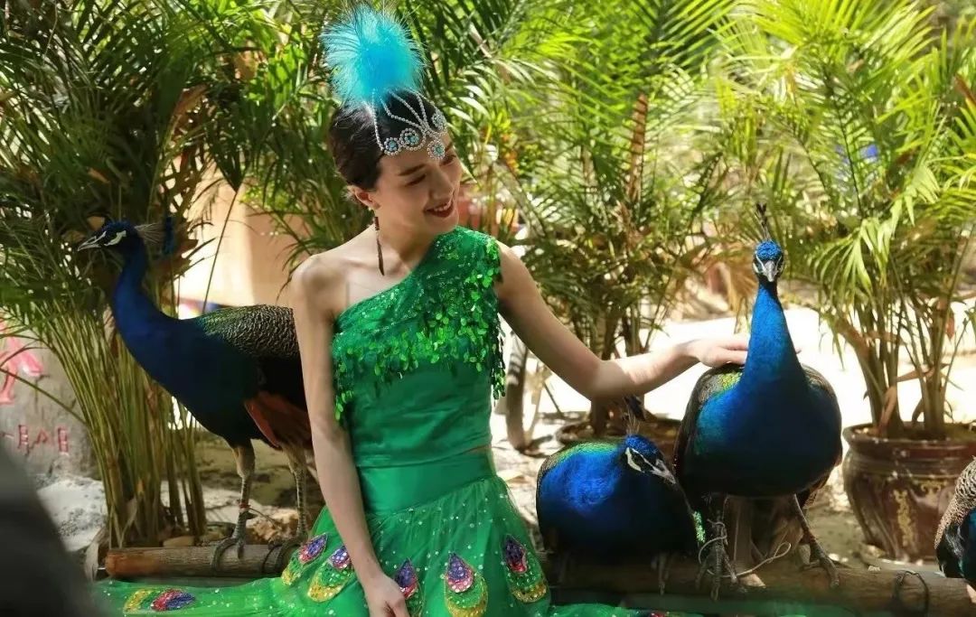 国庆中秋景区免费打折时间,中秋节10余景区40余项活动等你来