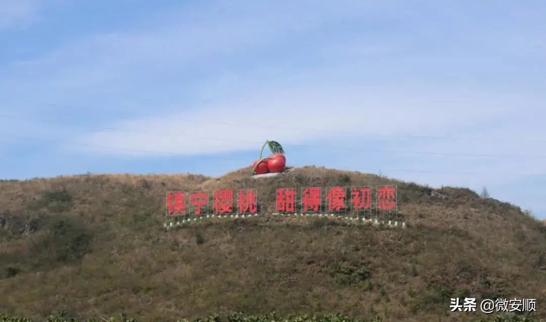 你好！我叫安顺，这是我2021最新简历