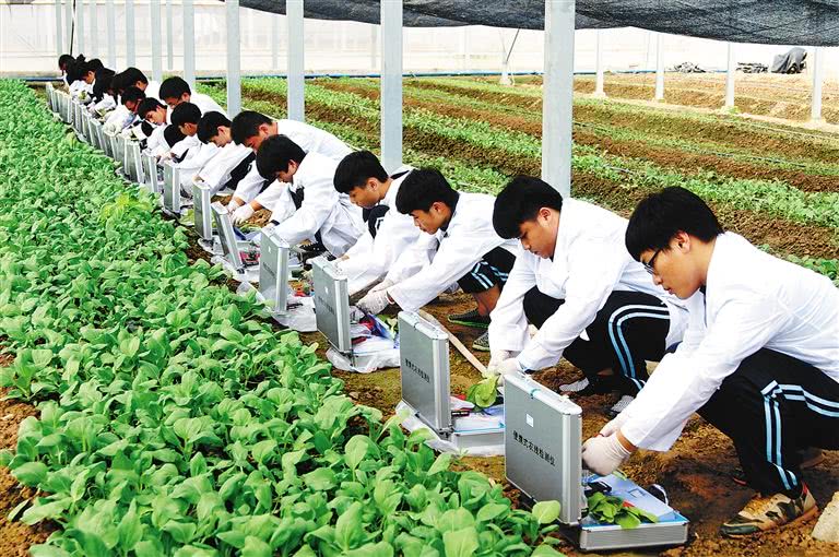 农学专业考研究生容易吗,孩子学了农学真的没用了吗