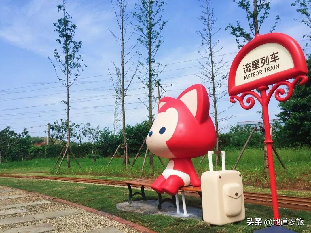 田园综合体和特色小镇有区别吗,成都和盛田园综合体