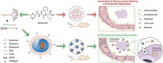 精选JACS/Angew12篇:树枝状大分子的最新成果大盘点