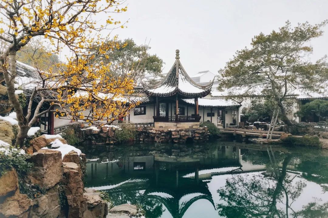 中国园林第一人，每个中国人都该谢谢他