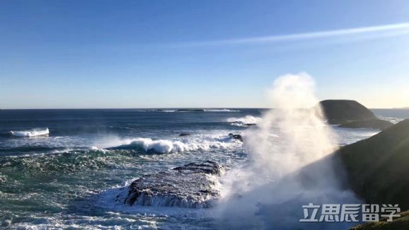 澳大利亚麦考瑞大学国家认可度,麦考瑞大学研究生回国认可度