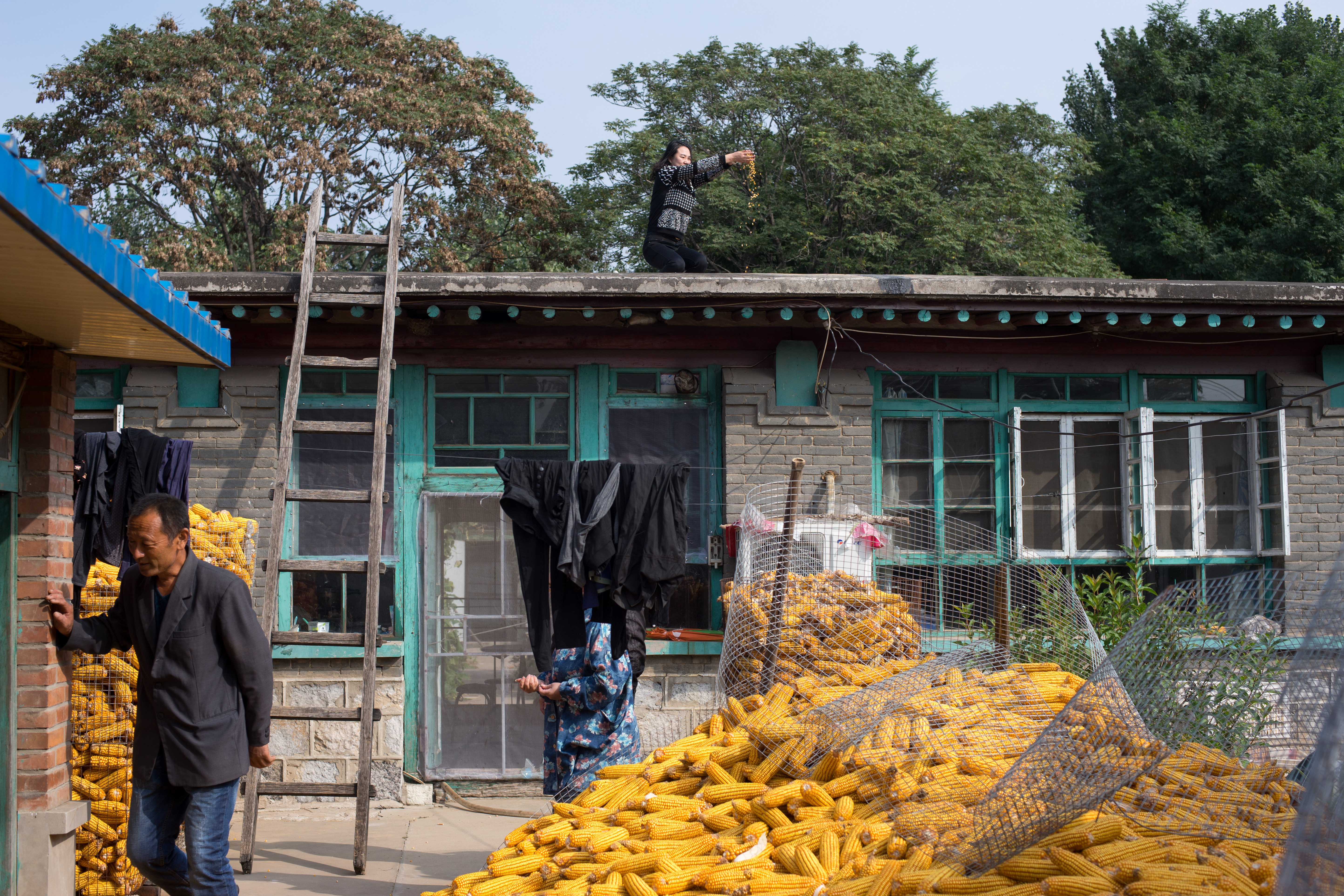 哈尔滨去太行山大峡谷,哈尔滨出发游南太行山