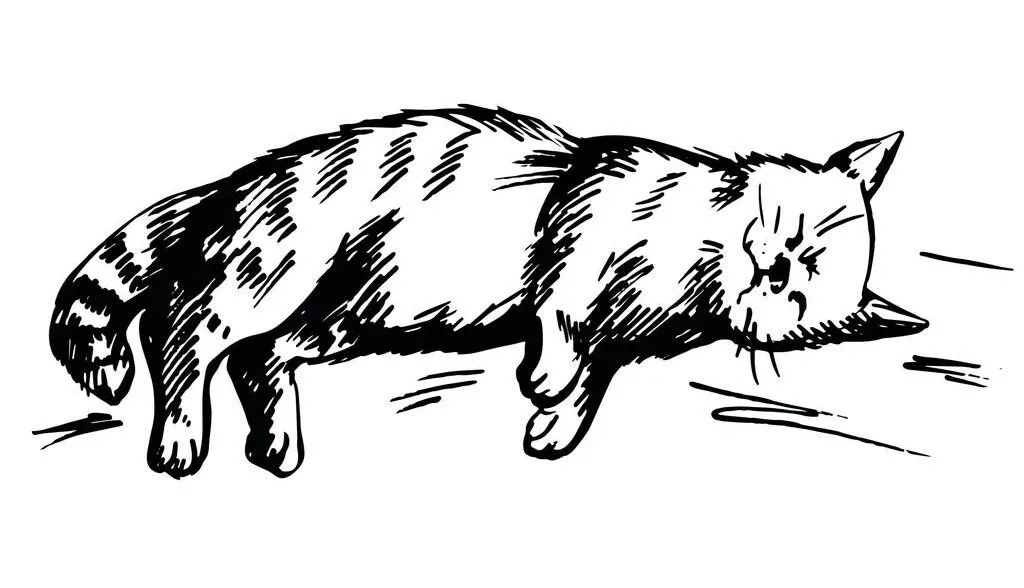 鬼压床科学的解释是什么,为什么会鬼压床的科学解释