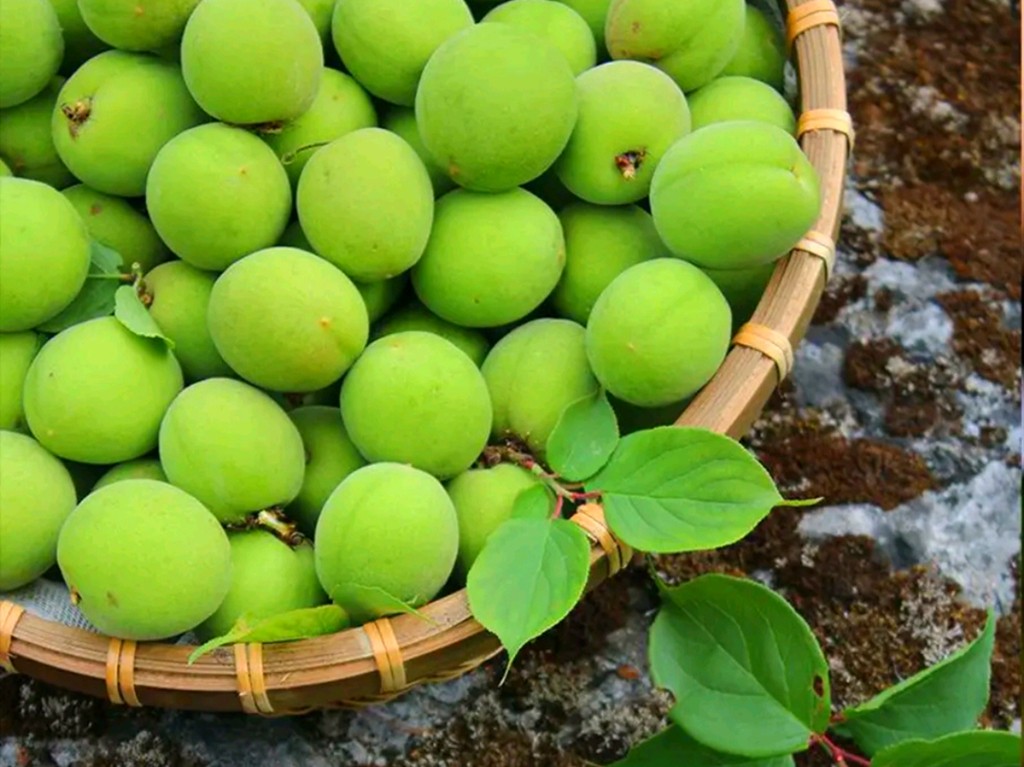 怎么制作杨梅酒好喝,如何做酸甜可口的杨梅酒