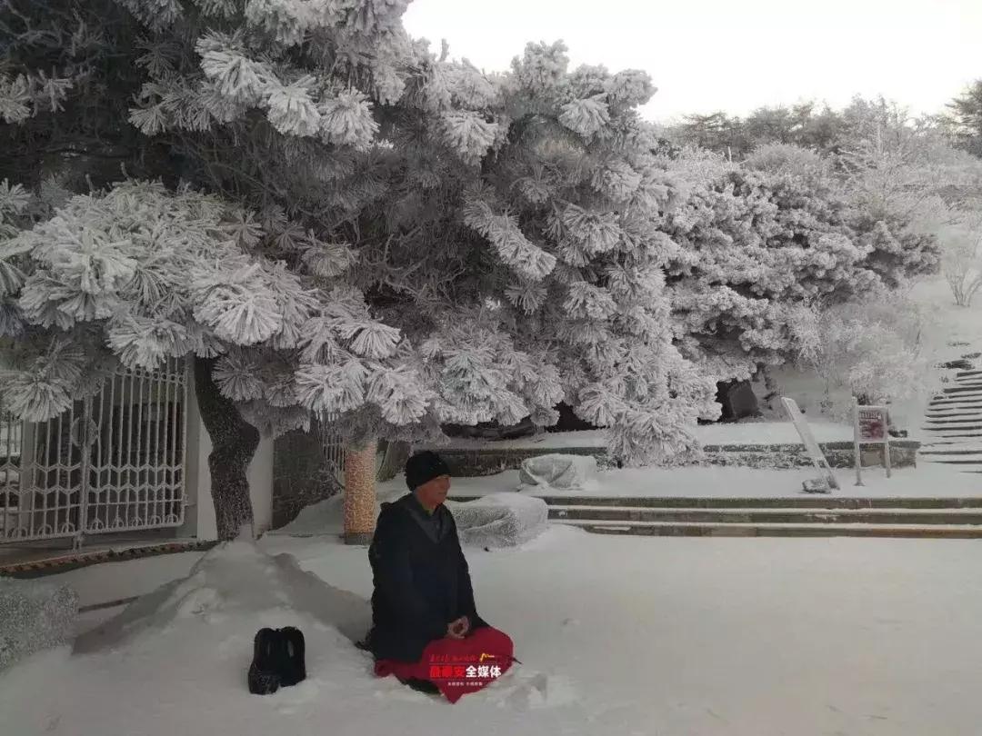 此刻泰山成了雪国,美到无言!高清美图来袭,“雪国的列车”即刻发车!