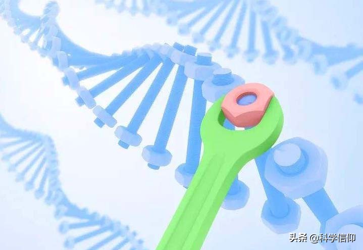 人类寿命将轻松超过100岁,人类的平均寿命是85岁