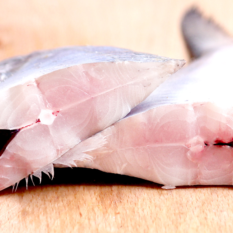 银鲳鱼的冷知识,银鲳鱼科普大全