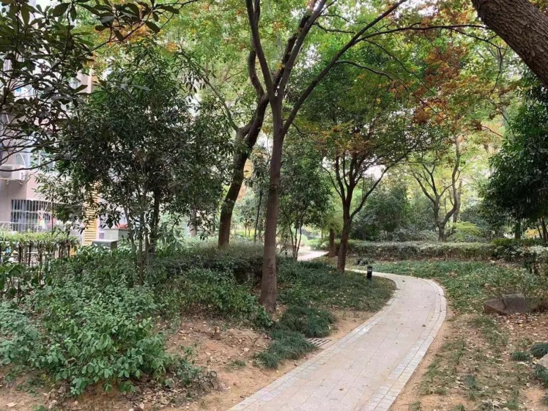 南京阿尔卡迪亚小区绿化率,荣盛阿尔卡迪亚小区环境