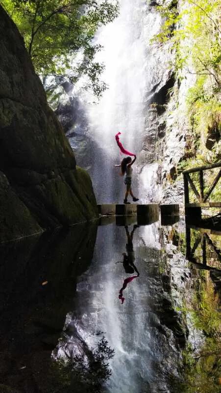 手拍世界微信公众号,手拍世界完整版视频