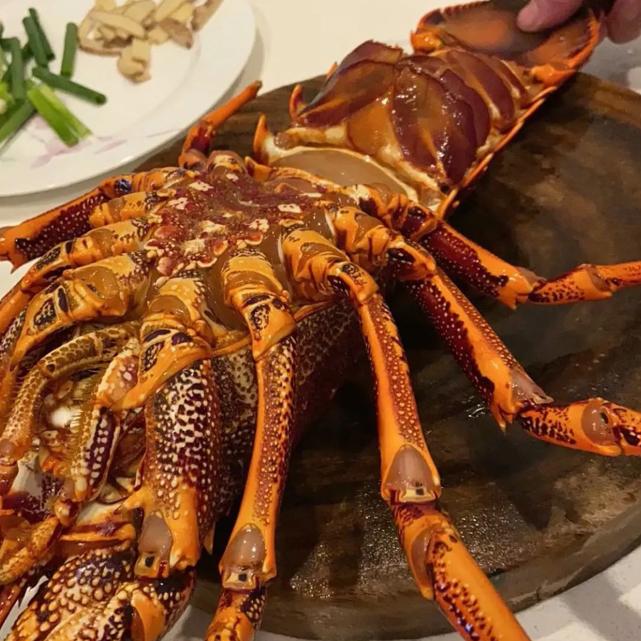 澳洲龙虾出口到中国多少钱一斤,澳洲龙虾进口批发市场