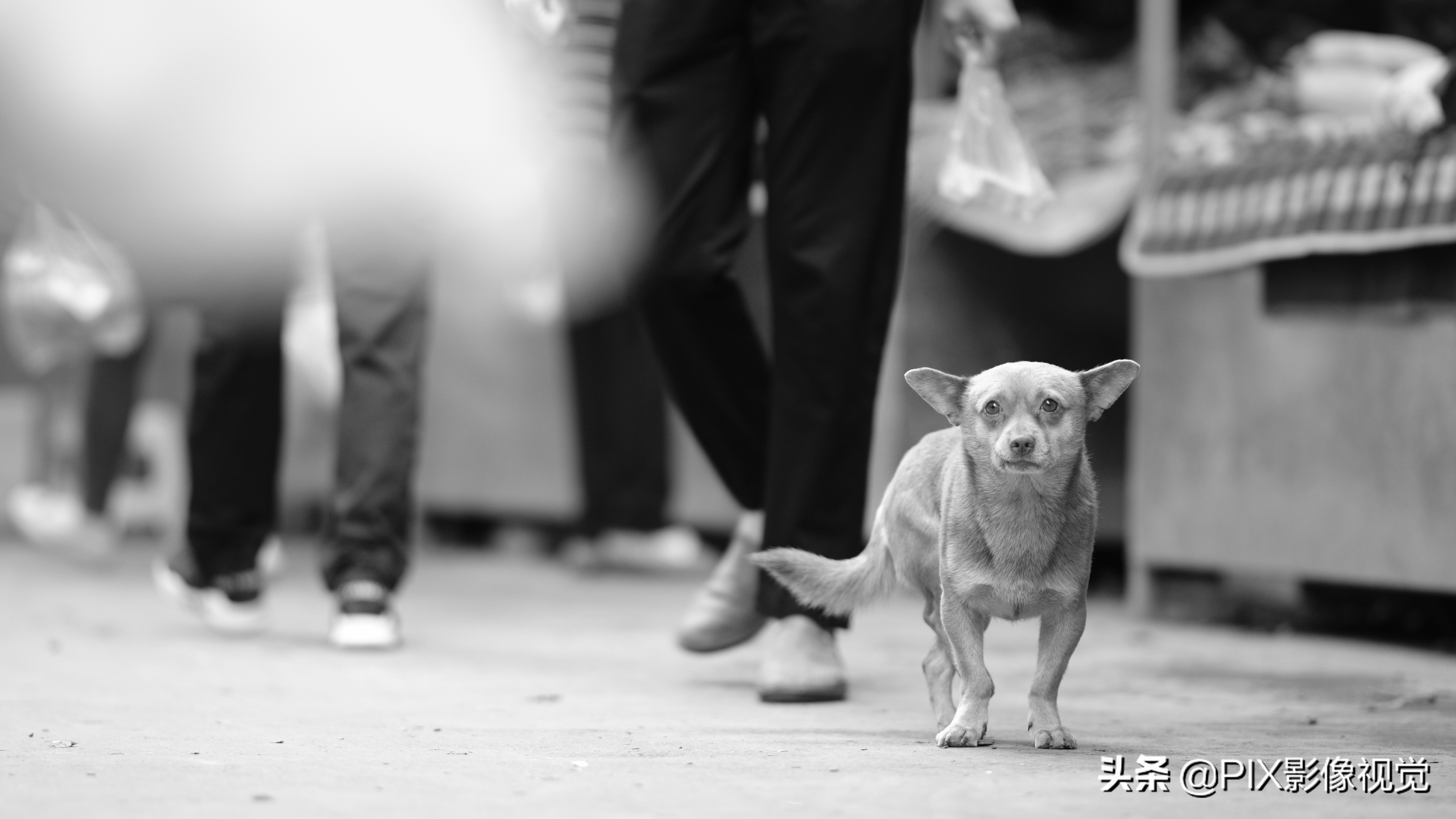 聊一下富士微单,富士x-h1现在还值得入手吗