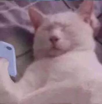 彻底根除耳螨的方法,除螨经验分享