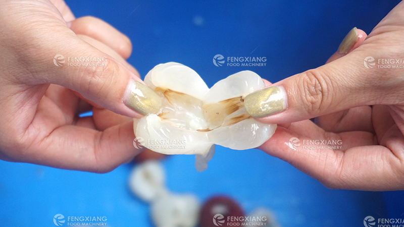 水果摘果机,水果去核机械全自动