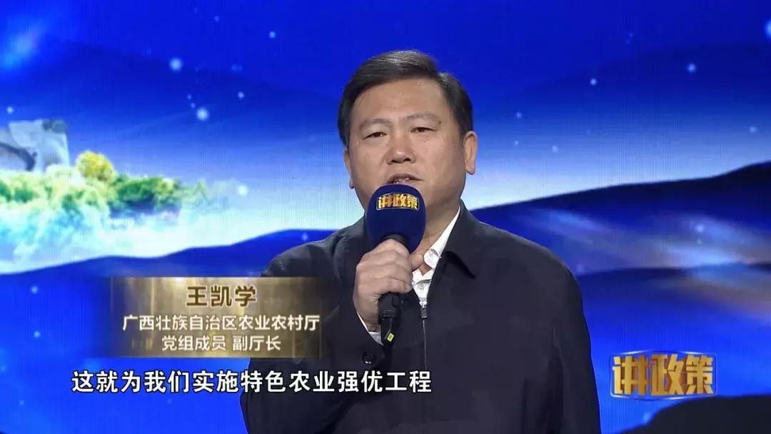 广西的产业发展趋势与政策,广西农业发展趋势与政策研究