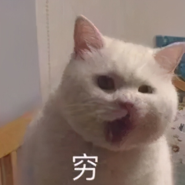 花400块钱买了一条裤,花了60块钱买了一条裤子