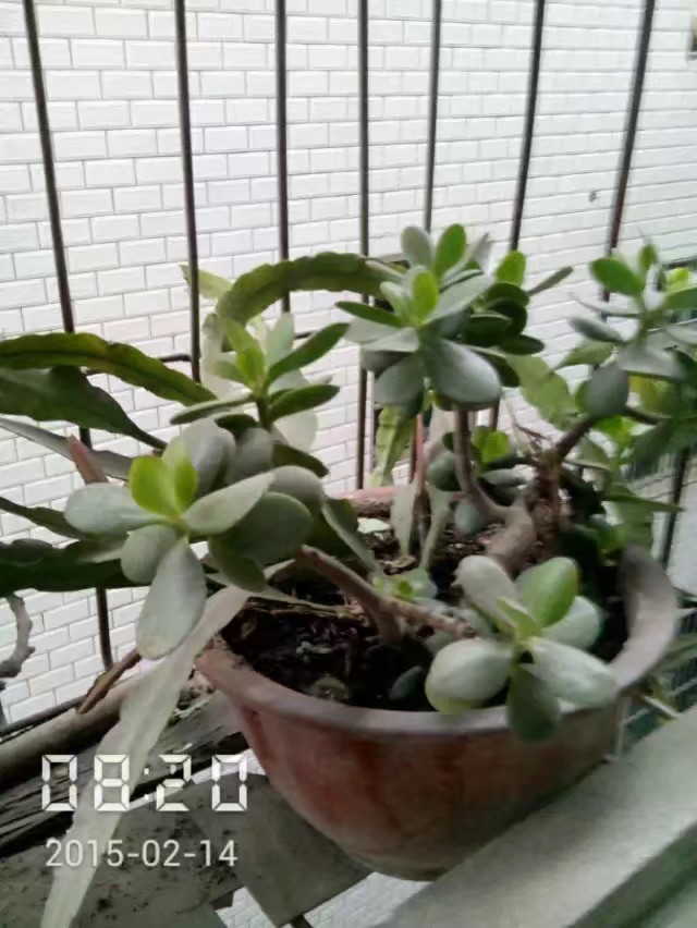 手机免费修复老照片软件,老照片扫描到手机