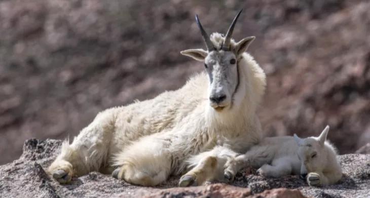 女人有气质看鞋子,从女人的鞋子看品味