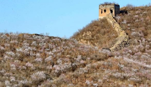 又是一年春光好完整版,又是一年春光好文明旅游