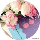 补气血不上火的中药代茶饮,补气血不上火最有效的食补