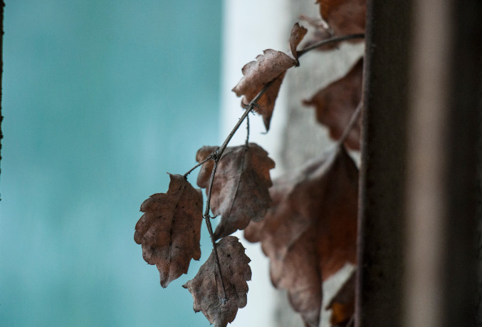 女大学生捐卵出事,女大学生捐卵成功