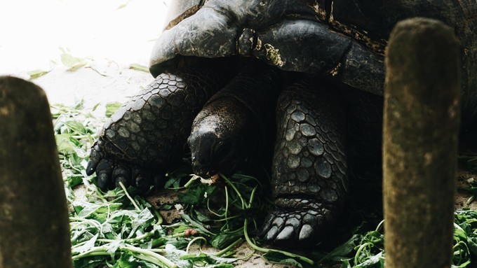 狮城新加坡自由行,新加坡7日游攻略