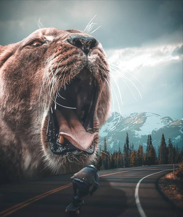 photoshop5免费学习视频教程,photoshop教程100集