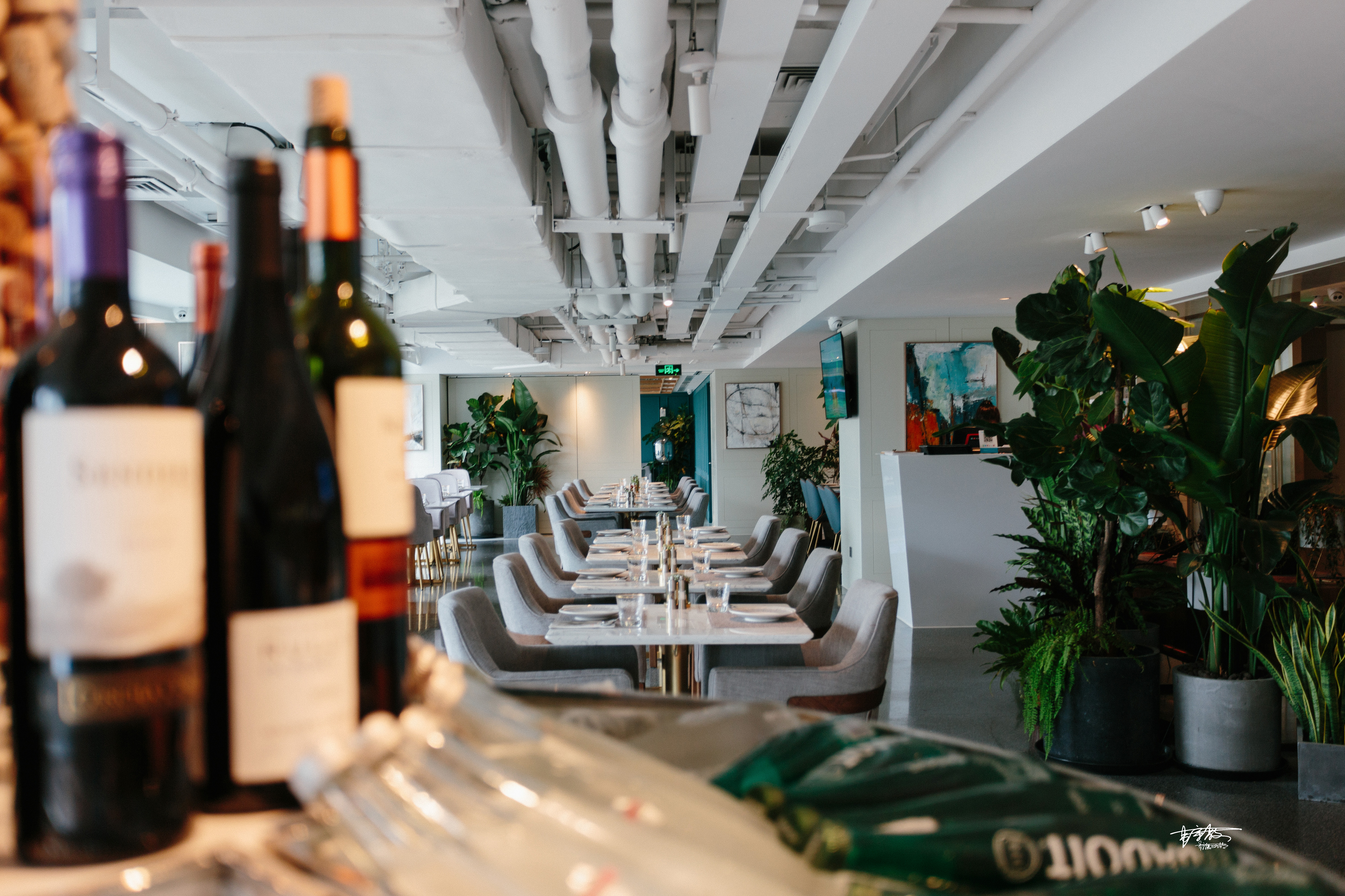 有一种美食叫相见恨晚，西单藏着一家闹中取静的美味西餐厅