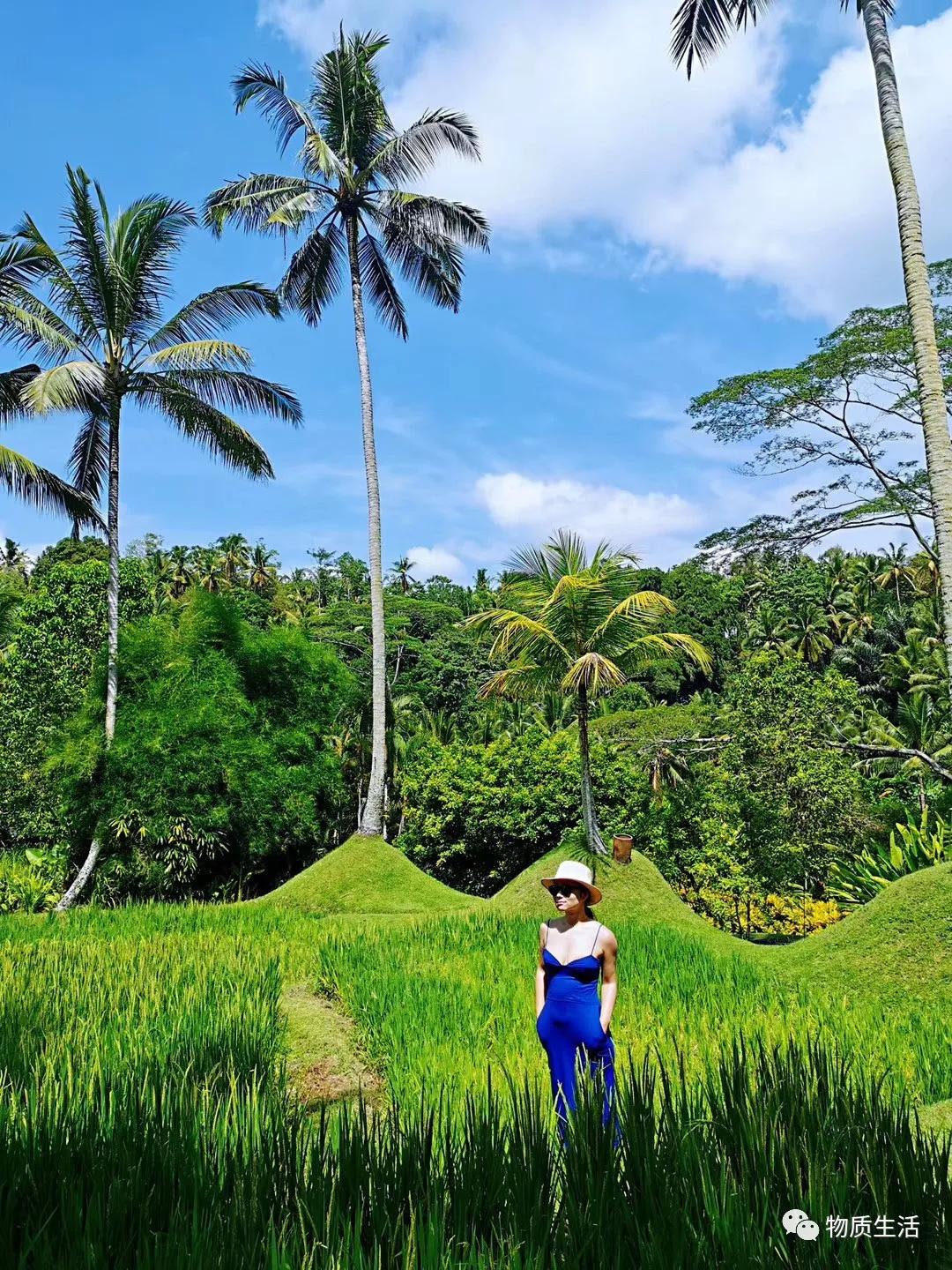 巴厘岛四季如夏吗,阳光明媚的巴厘岛