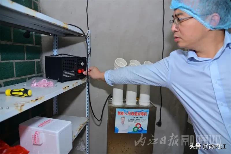 内江黑猪和乌金猪,内江黑猪跟太湖猪是一样吗