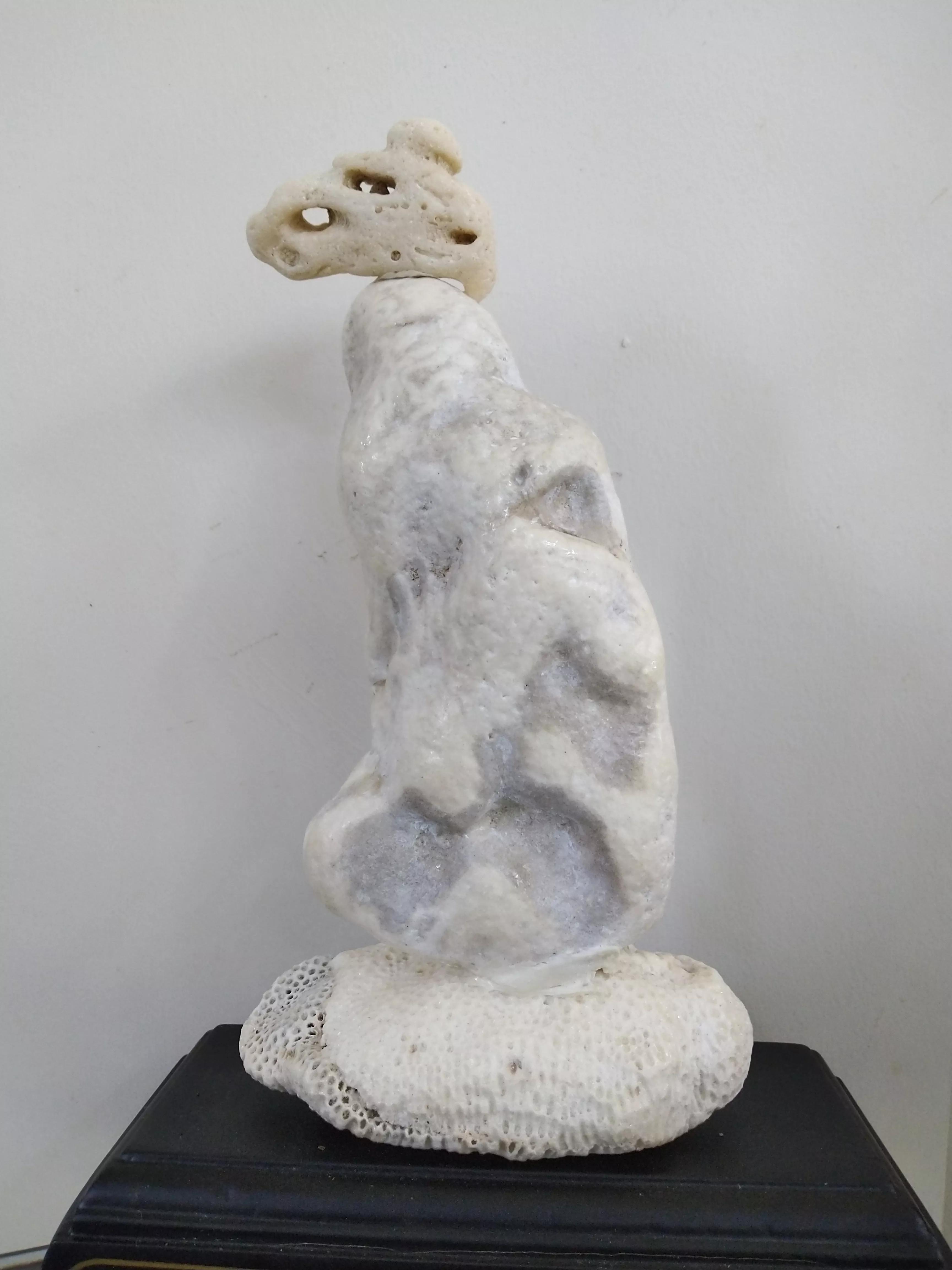 发现大自然的美的作文500字,发现大自然的美一篇作文