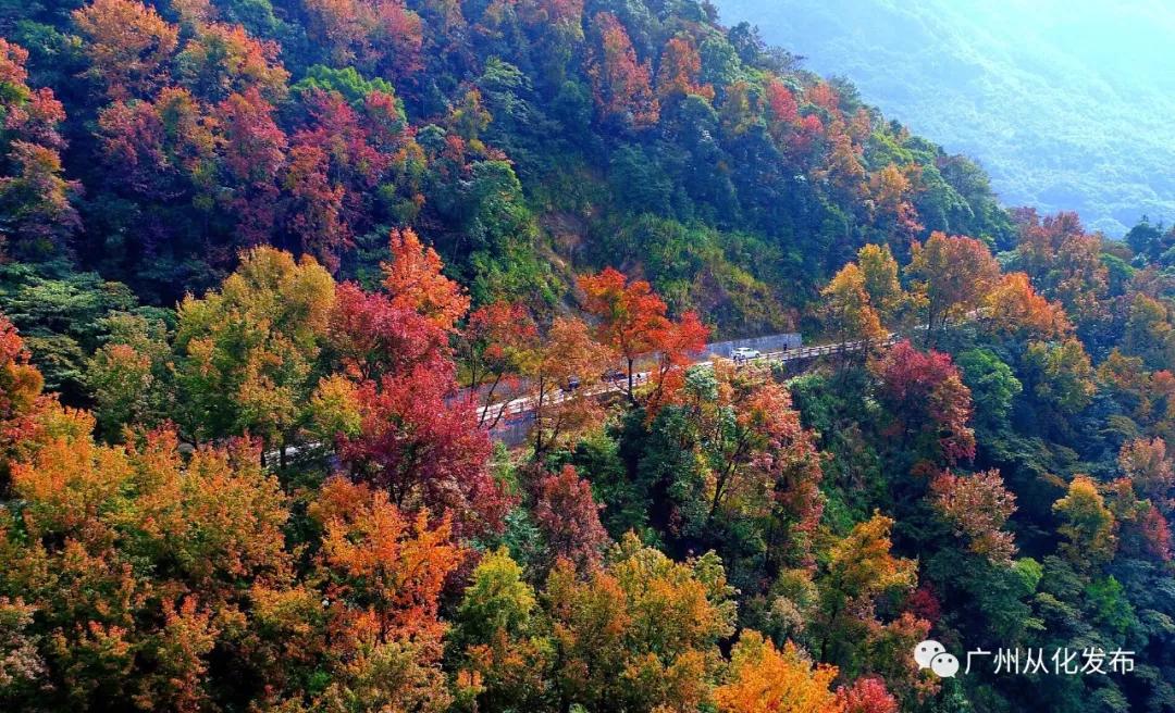 请转告全国白衣战士，从化有一份特别的礼物送给你们！