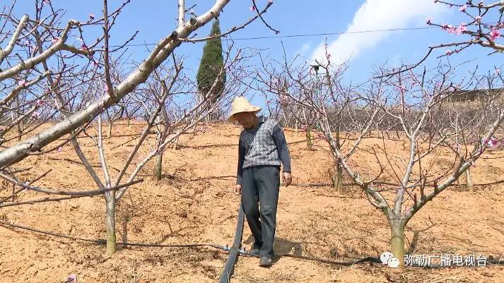 便民惠民!弥勒市第一家用水合作社这波操作太可以了!