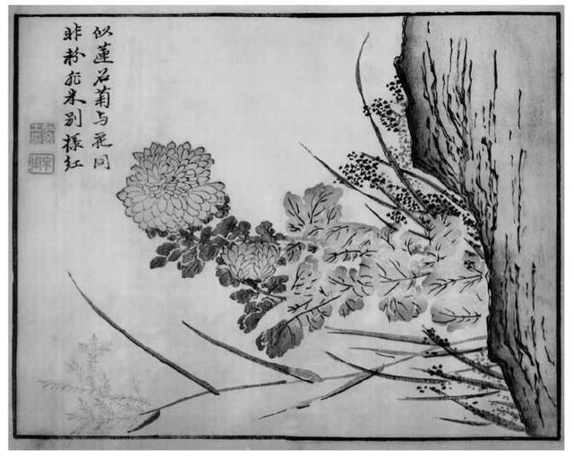 菊花写意画法100幅,简单的写意菊花画法
