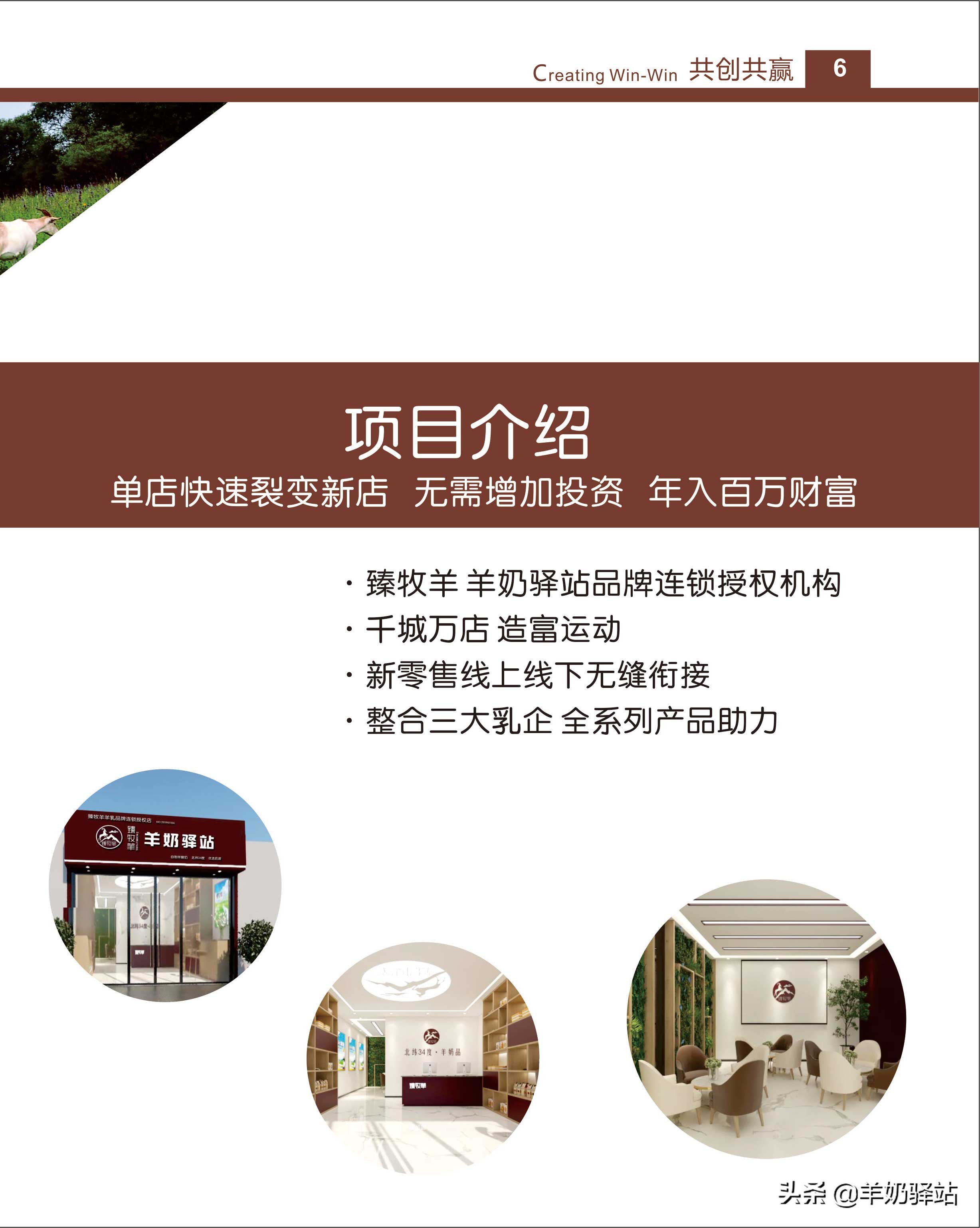 羊奶加盟招商模板,羊奶加盟哪个平台好