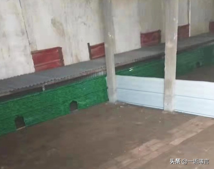 商河稼润养殖技术,商河稼润专业养殖刺猬