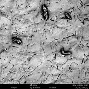 sem扫描电镜原理及应用,sem扫描电镜分析的作用