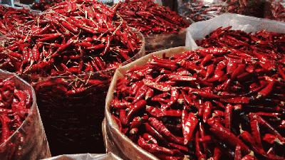 川娃子红油制作过程,正宗川式红油正规做法操作流程