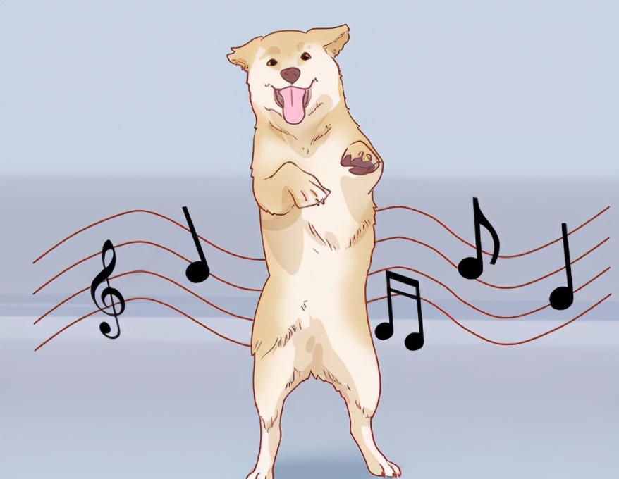 怎样训练狗狗跟你跳舞,怎么训练狗狗跳舞