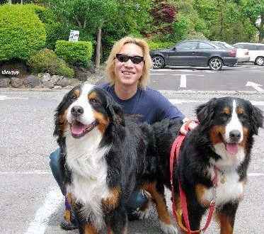 最佩服周星驰的明星,崇拜星爷的明星