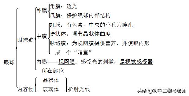 中考生物复习要点速记（人教版）第四单元生物圈中的人
