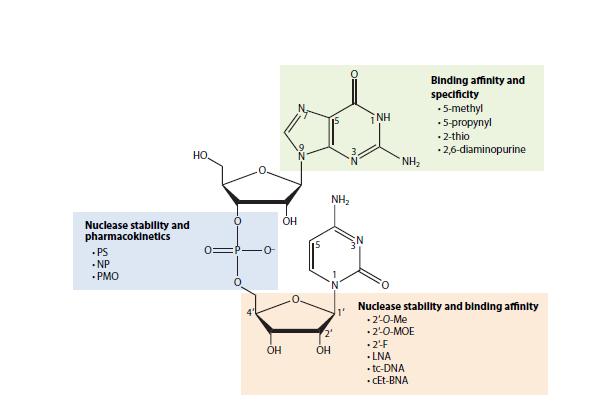 基因治疗能根治基因缺陷病吗,靶细胞定向治疗基因缺陷