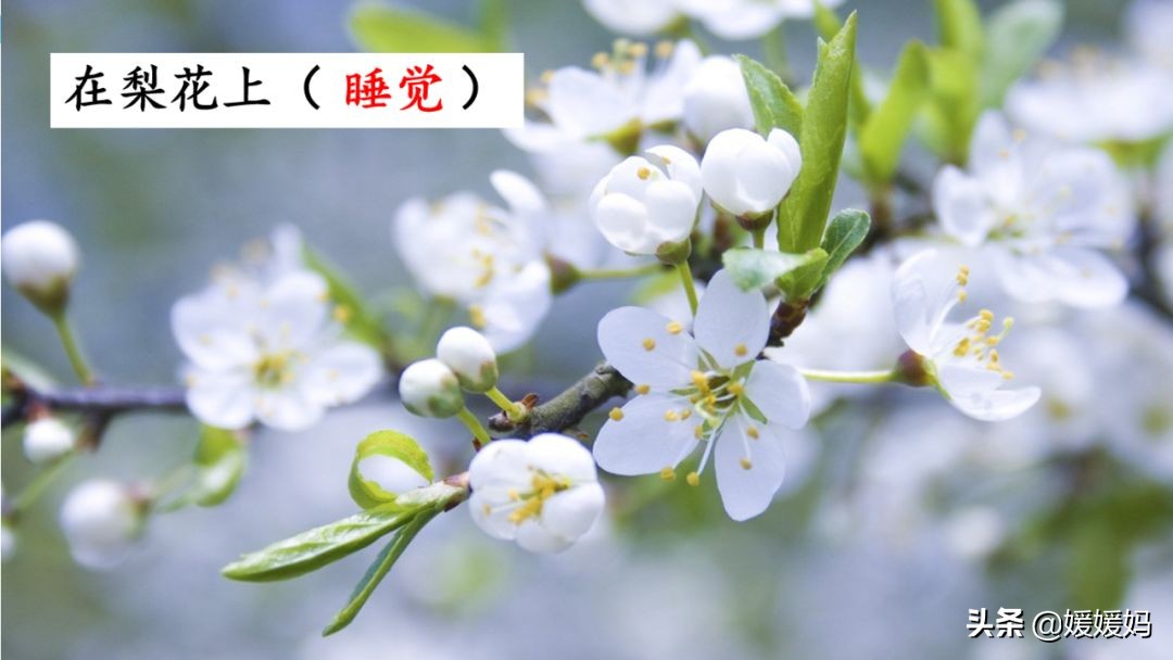 找春天二年级下册仿写第8自然段,找春天二年级下册朗读123自然段